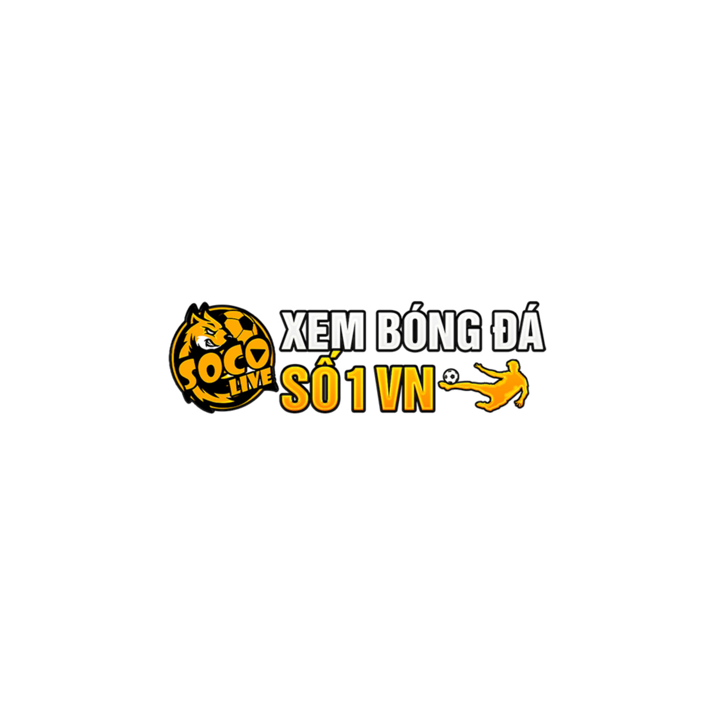SOCOLIVE Khong Gian Xem Bong da Truc Tuyen Soi dong Hang dau